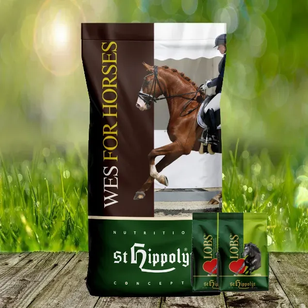 St. Hippolyt WES for Horses - Gastro Beet 20 kg + St. Hippolyt Lobs Belohnungswürfel 2 x 1 kg gesche