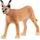 Schleich Wild Life Karakal Weibchen 14867