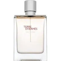 Hermès Terre d'Hermès Eau Givrée Eau de Parfum 100 ml