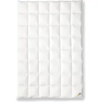 OBB 120 Jahre Winterdecke Kassettendecke warm Größe 155x220 -