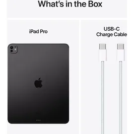 Apple iPad Pro 11" (5. Generation 2024) 512 GB Wi-Fi + Cellular Space Schwarz