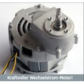 Acopino Delicato Slow Juicer champagner