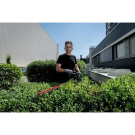 Metabo HS 18 LTX BL 55 100 cm ohne Akku