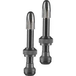 Schwalbe Tubeless Ventil Aluminium SV - 2er Set Schwarz Modell 2024