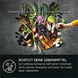 AEG TSC5S183EF Einbau-Kühlgefrierkombination (262 l, 1769 mm hoch)