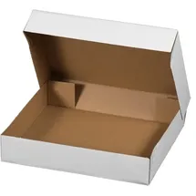 smartboxpro Klappdeckelkarton 400 x 300 x 80 mm
