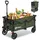 Sekey Bollerwagen faltbar 150 kg grün