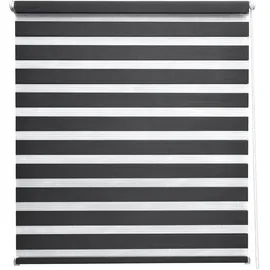 Sol Royal Doppelrollo SolDecor DL2 55 x 150 cm Schwarz