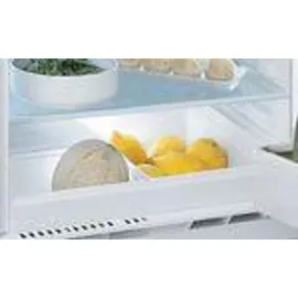 IGNIS ARL 8VS1 Einbaukühlschrank (144 l, 815 mm hoch)