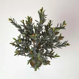 Homescapes KUNSTBAUM Olive, 90 cm
