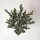 Homescapes KUNSTBAUM Olive, 90 cm