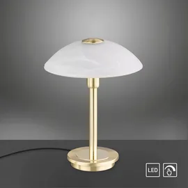 Paul Neuhaus Enova Braun 1 St.
