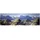 FALLER Modellhintergrund Neuschwanstein 180512 H0