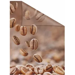 Fensterfolie LICHTBLICK ORIGINAL "Kaffee" Gr. 4, braun, B:100cm L:130cm, PVC, Fensterfolien, selbstklebend, Sichtschutz
