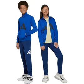 adidas Essentials Climacool Trainingsanzug Blau 164