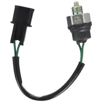 EPS Schalter 1.860.313