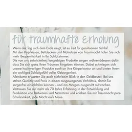 Traumnacht Basic 2 in 1 Duo 120 x 200 cm H2/H3