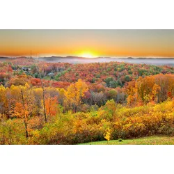 Fototapete PAPERMOON "Waldlandschaft", bunt, B:3,50m L:2,60m, Vlies, Tapeten
