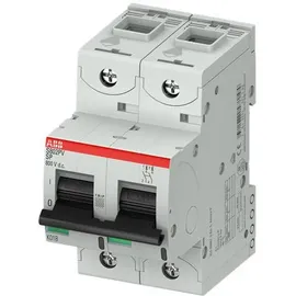 ABB Stotz S&amp;J Strangsicherung S802PV-SP80