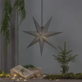 Star Trading Papierstern Ozen 70 cm grau