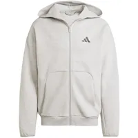 Adidas Herren Kapuzensweat Future Icons Small Logo, MGREYH, XXL)