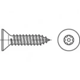 TOOLCRAFT Sicherheitsschrauben 5,5 mm 63 mm 100 Stück