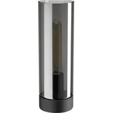 EGLO DAMASCO 1 Schwarz-Transparent