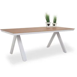 CASANOVA Gartentisch 200 x 100 x 74 cm Grau