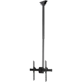 Startech St Flatpnlceil - Deckenhalterung für 32" bis 75'' Flat TV