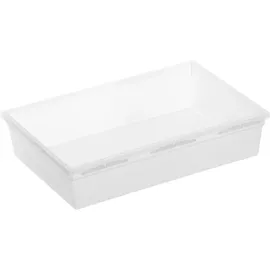 Rotho Aufbewahrungsbox Basic 15 x 23 cm Kunststoff Transparent L (Large)