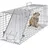 Vevor Waschbärfalle Lebendfalle 79×25×31 cm