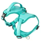 Max & Molly Urban Pets Matrix 2.0 Hundegeschirr türkis S