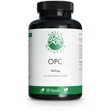 GREEN NATURALS OPC 1000 mg aus Traubenkern-Extrakt