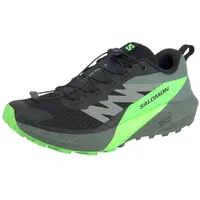Salomon Sense Ride Herren Black/Laurel Wreath/Green Gecko 42 2/3