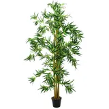 Europalms Bambus Multistamm, 150cm