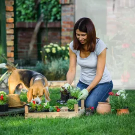 Relaxdays TAMARA XL Kunststoff Transparent 1,60 m2