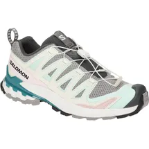 Salomon XA Pro 3D V9 Herren Gull / White / Bleached Aqua 42 2/3