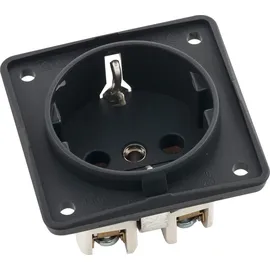 Berker Schuko-Steckdose anthrazit matt 1 St.