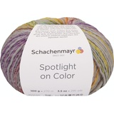 Schachenmayr since 1822 Spotlight On Color, 100G Platin Color Handstrickgarne