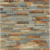 Euro Stone Verblendstein schiefer 60 x 15 cm bunt