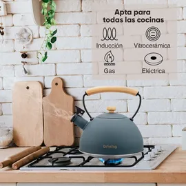 Briebe Nordic 2,3 l Grau