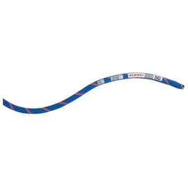 Mammut Alpine Sender Dry Halbseil Blau/Orange