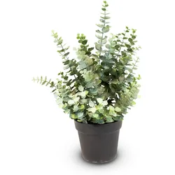Künstliche Eucalyptus Pflanze, Höhe 60 cm