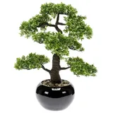 Botanic-Haus Emerald Kunstpflanze Bonsai Ficus Grün 47 cm 420006