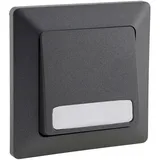 ChiliTec MILOS Taster mit Namensschild, Anthrazit