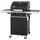 Tepro Keansburg 2 Gasgrill