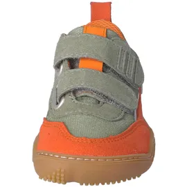 qnuffs Erle grau / orange 31