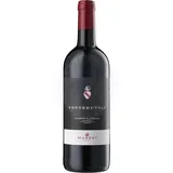 Chianti Classico Docg 2021 Fonterutoli 1,5l