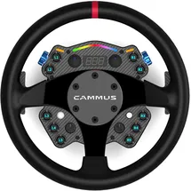 C12 Direct Drive Lenkrad