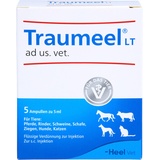 Heel TRAUMEEL LT ad us.vet.Ampullen 5X5 ml